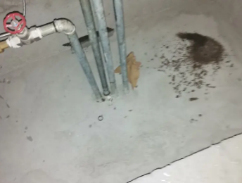 怀安卫生间测漏水价格明细